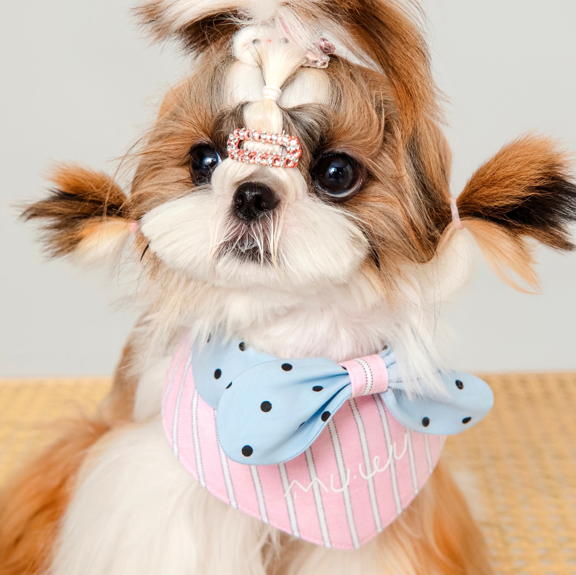 MUWU Bandana Bib
